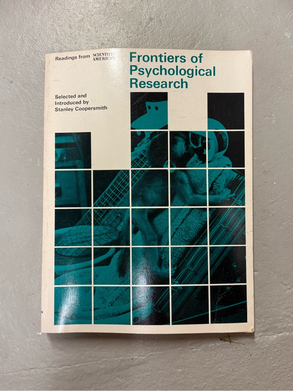 Frontiers of Psychological Research Stanley Coopersmith Scientific American PB
